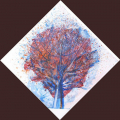 ARBRE D'HIVER ARBRE D'HIVER