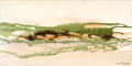 ÉTANGS DES CORBIÈRES ÉTANGS DES CORBIÈRES