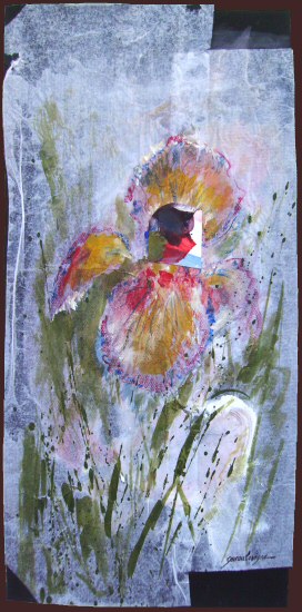 DE L'IRIS (sur papier) 60x33 cm