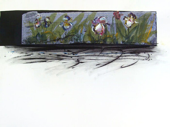 LES IRIS (sur papier) 60x50 cm